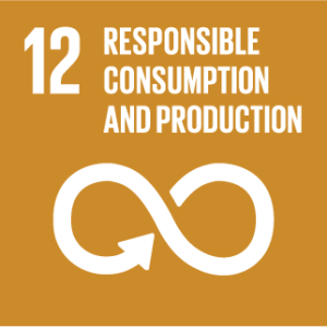 12 Responsible Consumption and Production