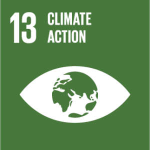 13 Climate Action