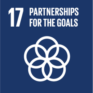 17 Partnerships for the goals